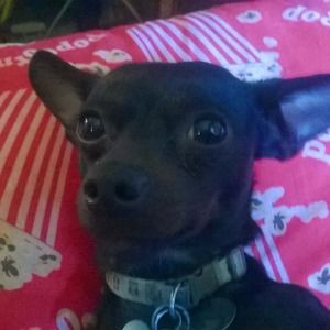 Meet your Posher, Tiffany